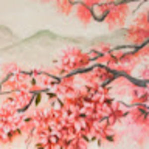 Meet your Posher, Jonas